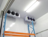 Đâu là đơn vị thi công kho lạnh Hồ Chí Minh đáng tin cậy?