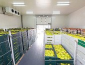 Công ty chuyên thi công kho lạnh Bình Thuận