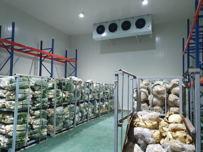 Kho Lạnh Bảo Quản Hạt Giống