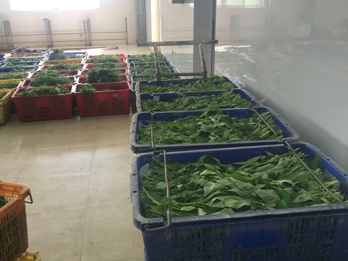 kho lạnh bảo quản thực phẩm