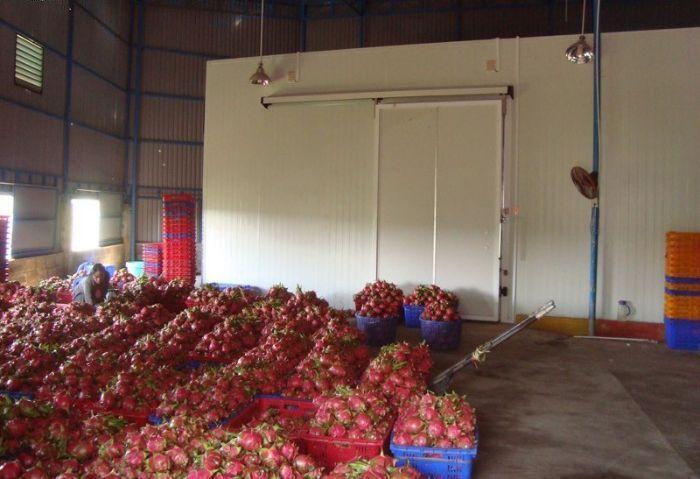 kho lạnh bảo quản thực phẩm