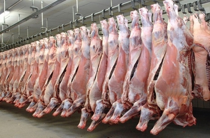 Kho lạnh bảo quản thịt cá