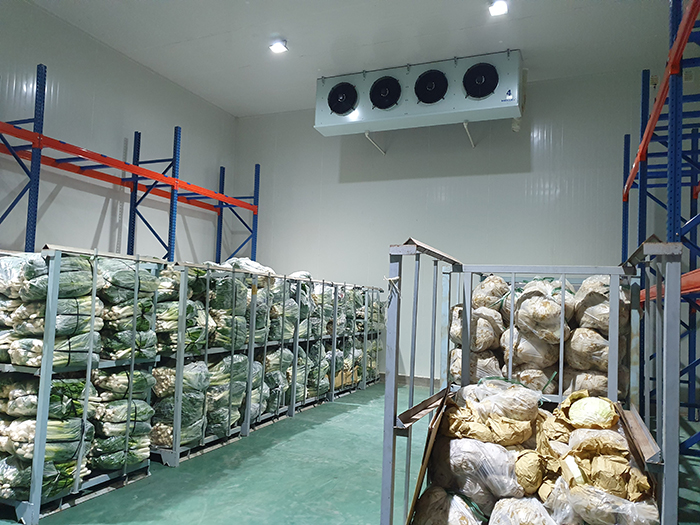 lắp đặt kho lạnh công nghiệp